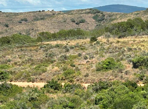 0 Bedroom Property for Sale in Mossel Bay Rural Western Cape